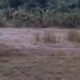 IMG-20250501-WA0006